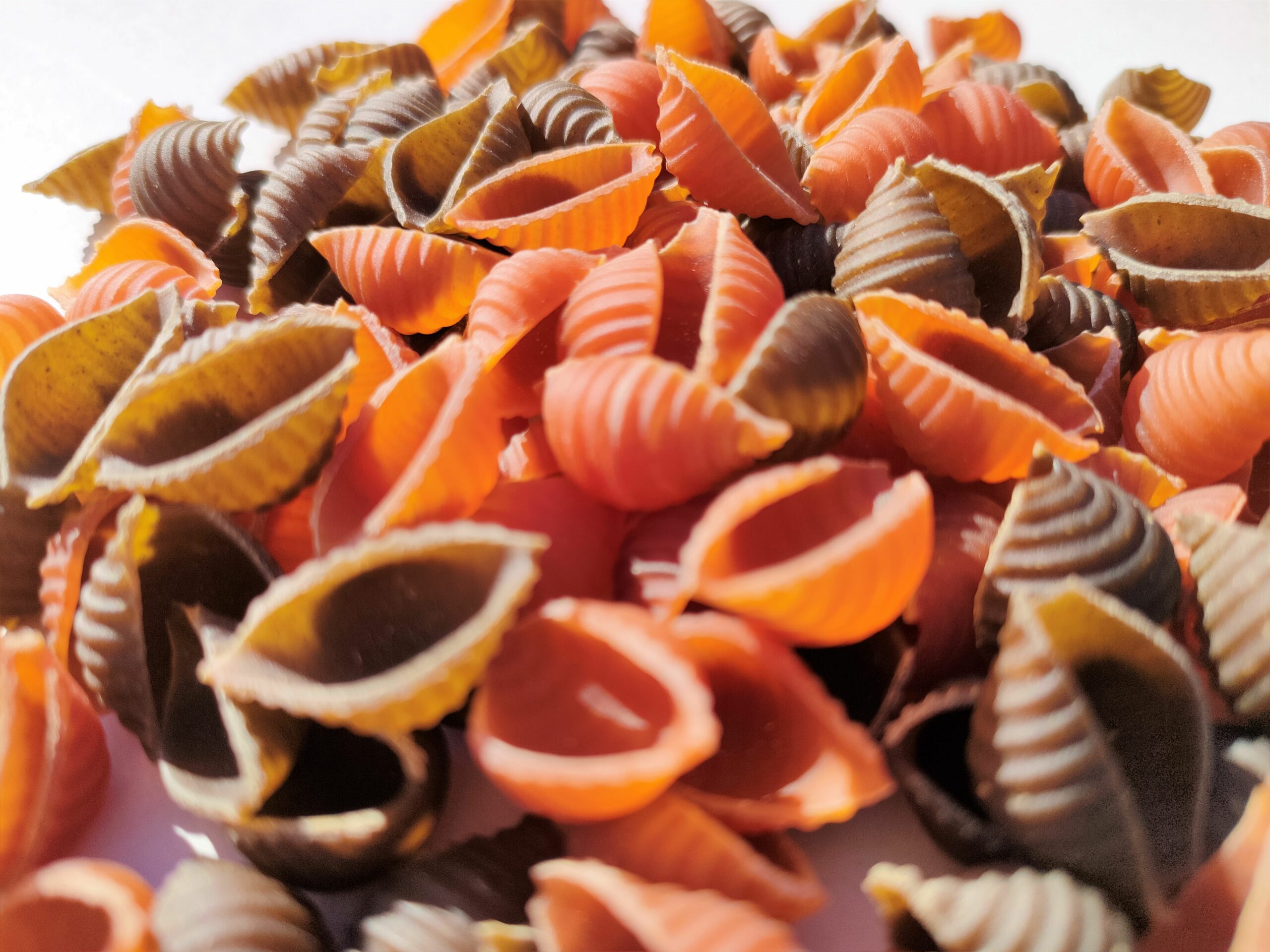 Conchiglie Gourmandes Tomate Basilic 500g