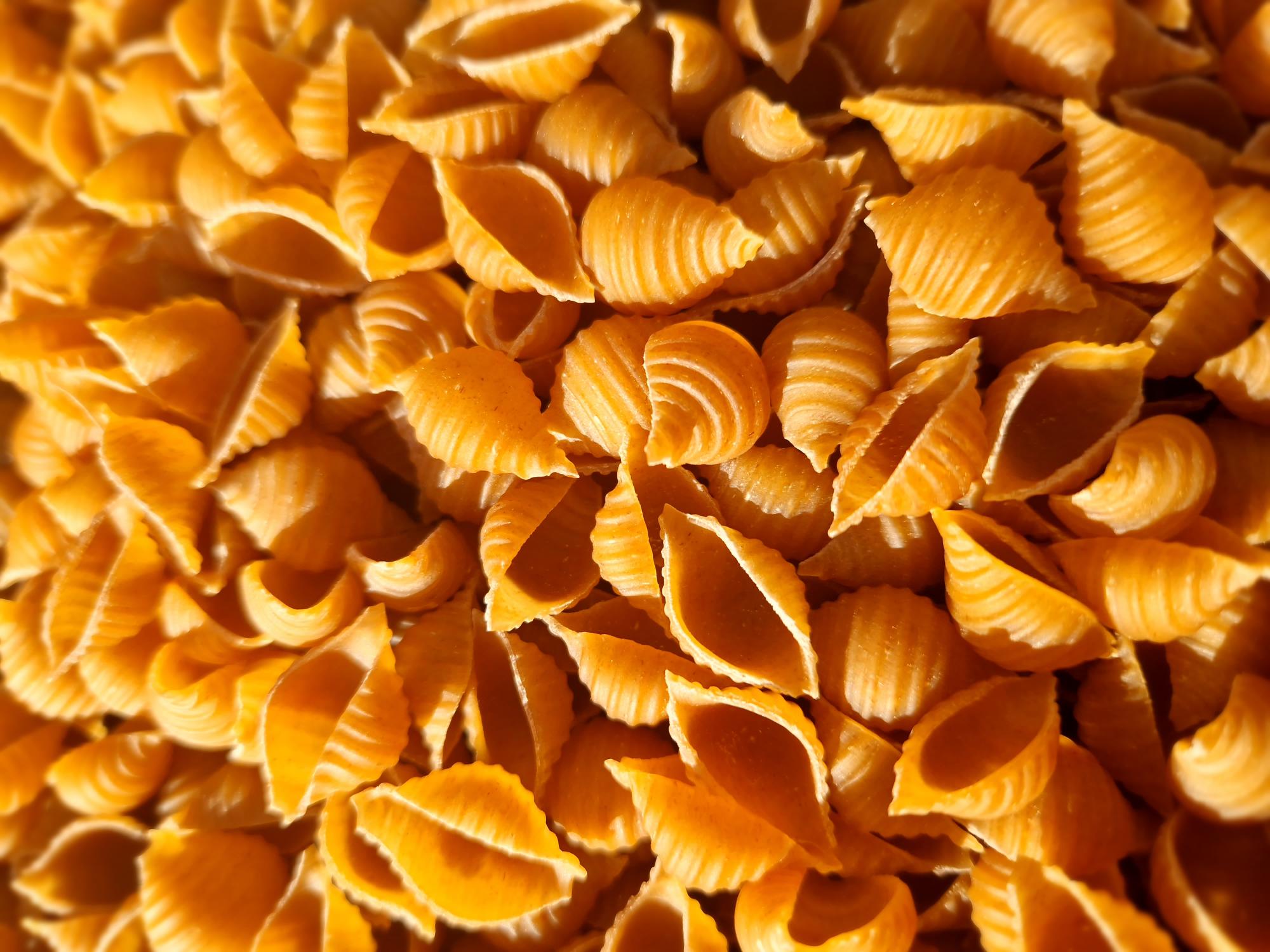 Conchiglie Nouvelles au Petit Epeautre500g